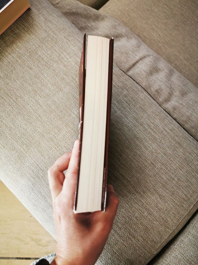 L’acqua del lago non è mai dolce (Narratori ita...