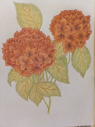 Lámina A4 Flores Naranja y Hojas Verdes