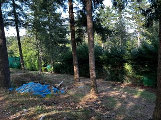 Terreno 15.000 m² en Abadiño (Bizkaia) 