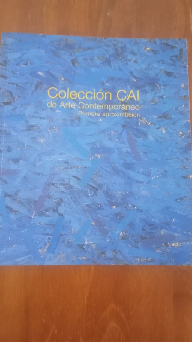 Colección CAI arte contemporáneo. 1a aproximación