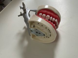 Tipodonto Dental Articulador para periodoncia