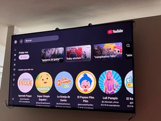 TV 55 pulgadas Bravía procesador XR.