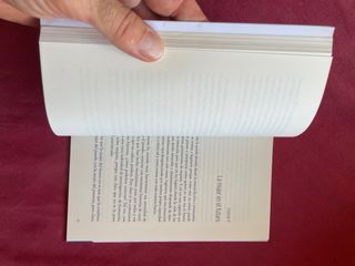 Consciencia y feminismo (Spanish Edition)