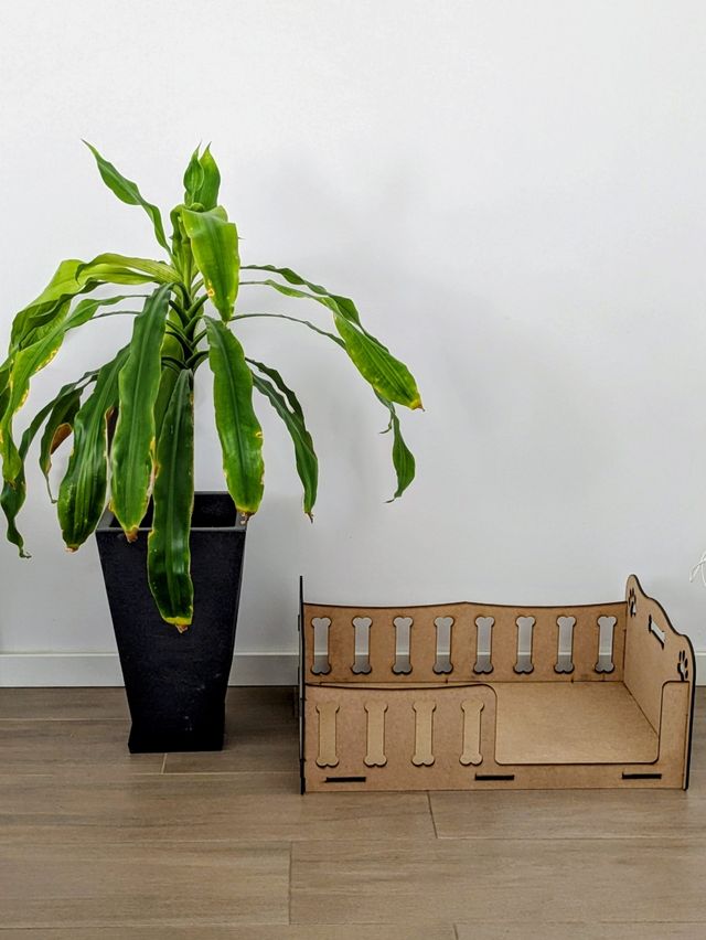 Cama para perro personalizada con nombre