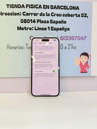 iPhone 14 Pro Max 256GB Silver usato