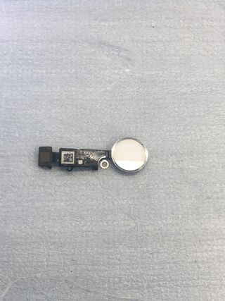 Modulo di impronte digitali per iPhone 7/7P/8/8P SE 2020 (argento)