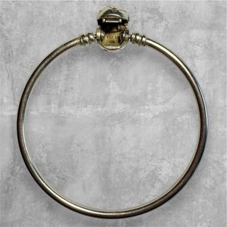 Pulsera Pandora Moments en Plata
