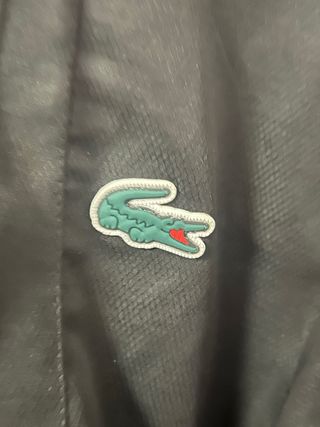 Chaqueta Lacoste Negra