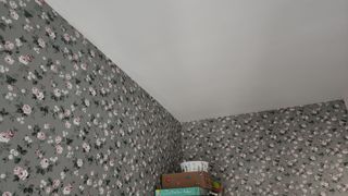 Escayolista yesista pladurista