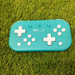 Controller Nintendo Switch a 8 bit