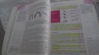 Filosofía 1.º Bachillerato