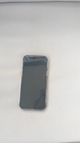 iPhone 16 Pro Max y Apple Watch Serie 10