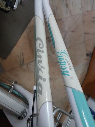 Bicicleta Cinzia 700 28