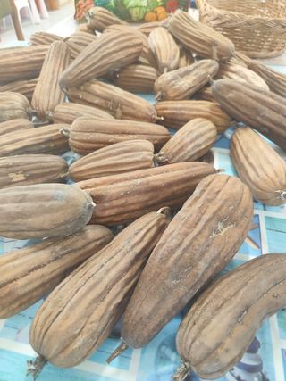 Esponjas Luffa Naturales para Baño