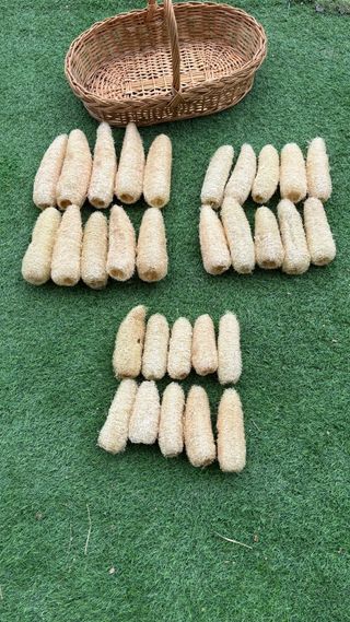 Esponjas Luffa Naturales para Baño