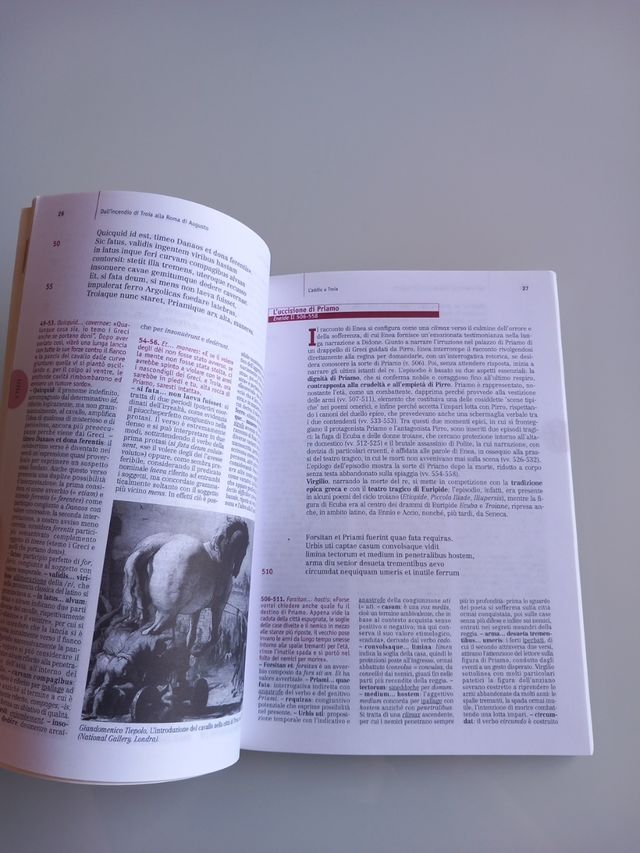 Dall'incendio di Troia alla Roma...