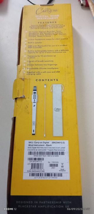 Flauto, tromba, clarinetti, sassofono con cornamusa dieci in 1