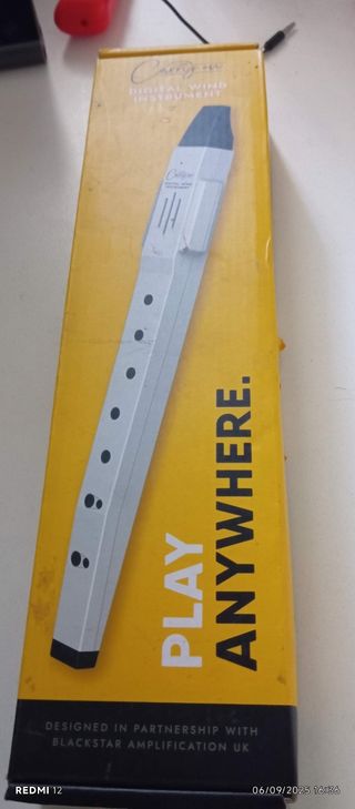 Flauto, tromba, clarinetti, sassofono con cornamusa dieci in 1