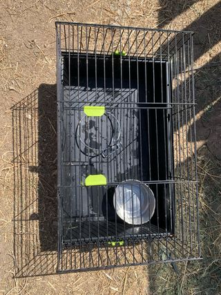 Jaula para conejo o cobaya