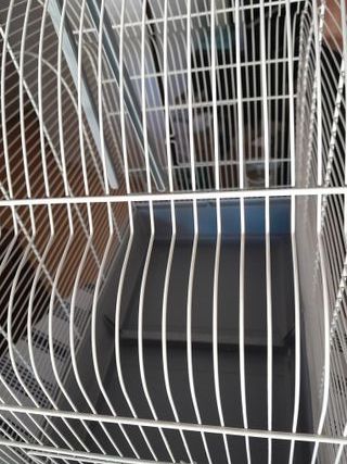 Jaula para pájaros blanca y gris
