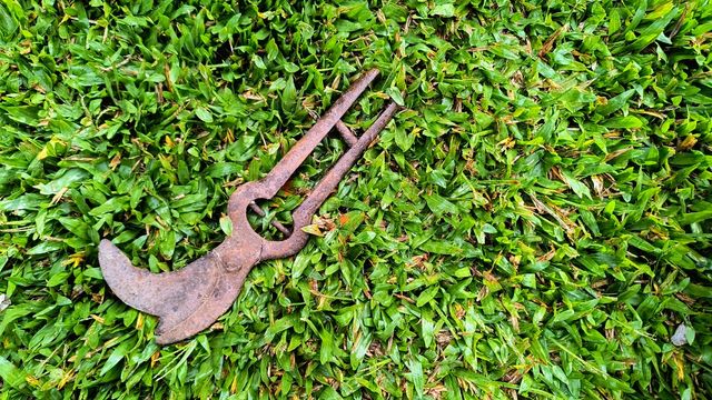 Antiguas tijeras de poda.