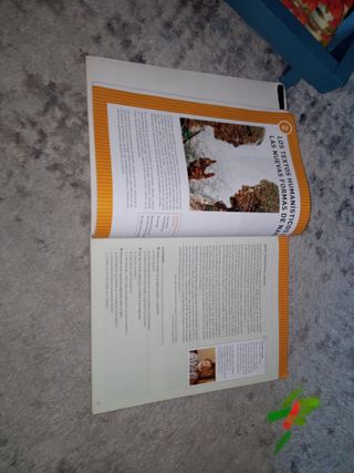 Lengua castellana y literatura. 2 Bachillerato....