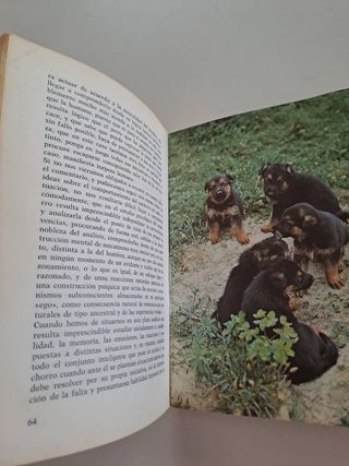 El cachorro psicología, educación y adiestramiento