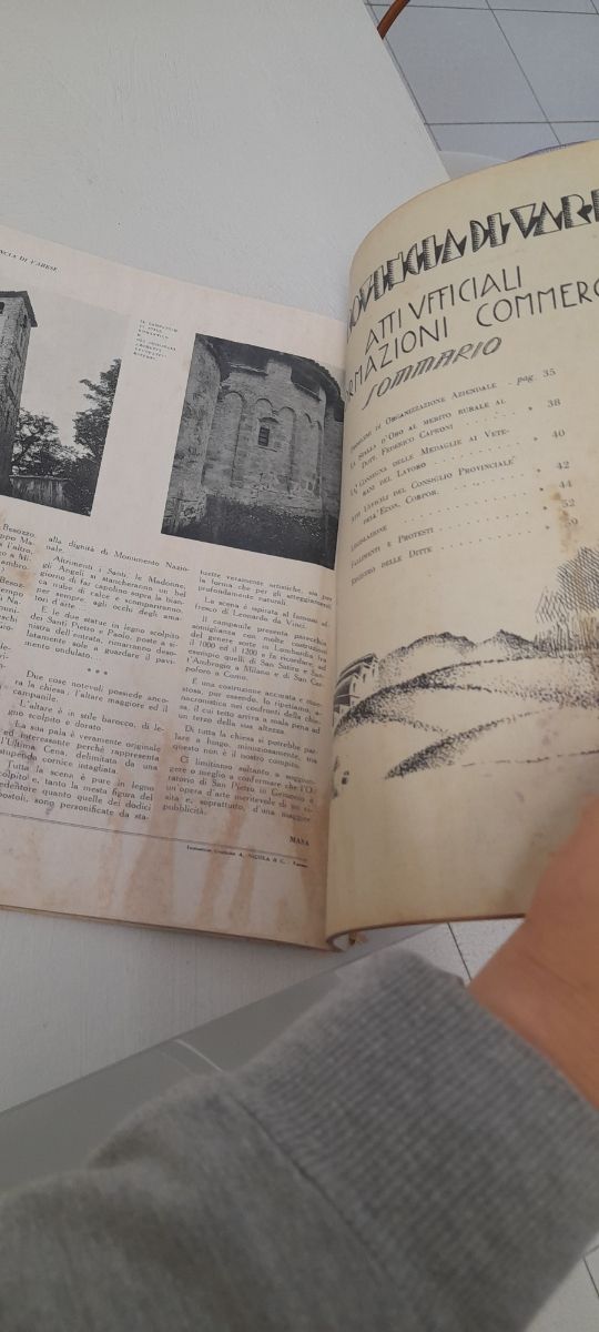 Rivista la provincia di Varese n.5 Maggio 1933