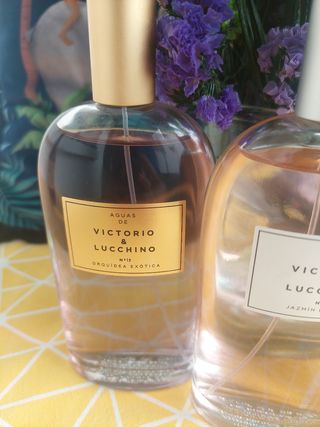 3 Colonias Victorio & Lucchino Nuevas