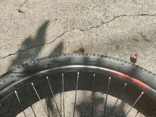 Bicicleta Orbea MX40 Mujer