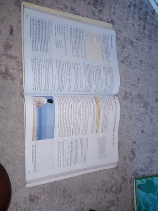 FIL 1B Filosofia Bachillerato (Aula 3D)