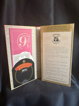 Harry Potter Travel Magic