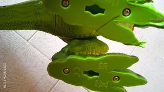 Dinosauro Giocattolo Verde