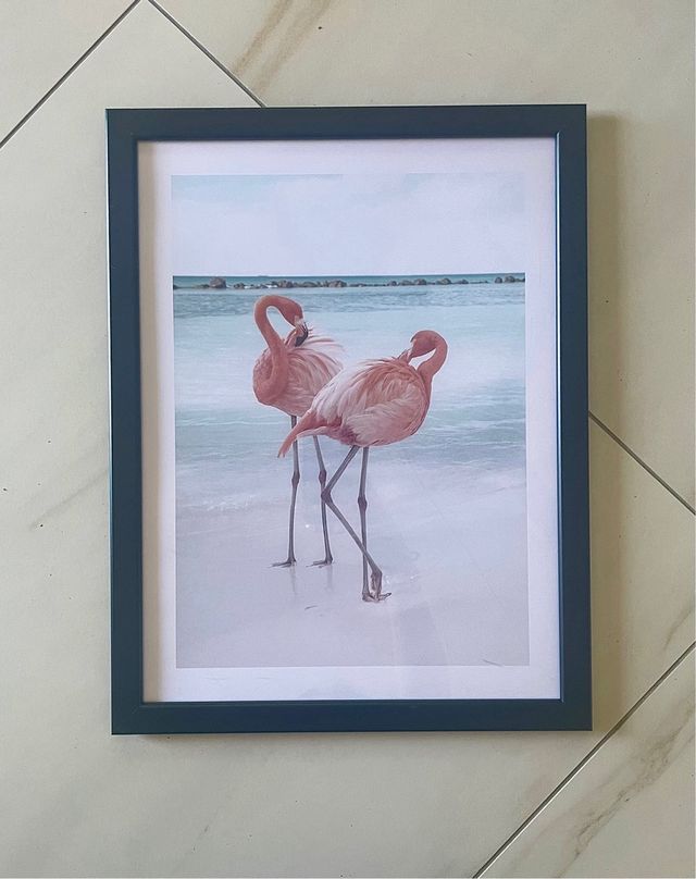 Stampa Fenicotteri 30x40 cm