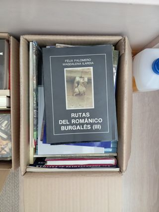 Novelas, libros de arte, historia....