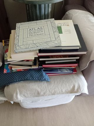 Novelas, libros de arte, historia....