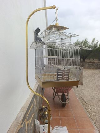 Juala de pájaros estilo asiático vintage