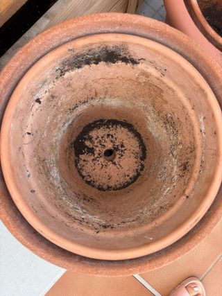 Macetas de terracota