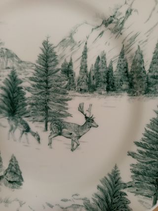 Platos de cerámica con diseño de invierno