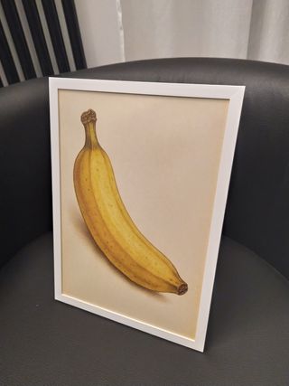 Cornice banana vintage