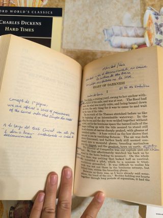 Libros + apuntes Literatura del siglo XIX