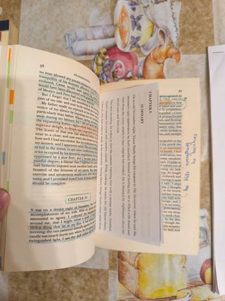 Libros + apuntes Literatura del siglo XIX