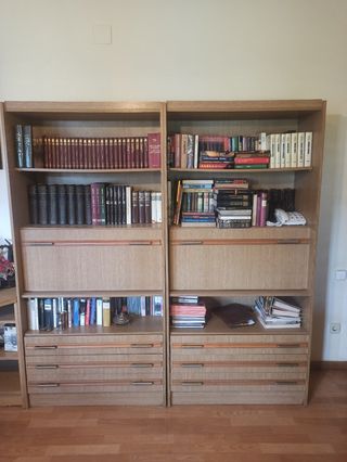 Dos armarios de salón madera y metal