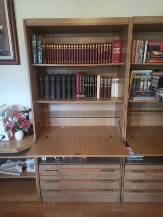 Dos armarios de salón madera y metal
