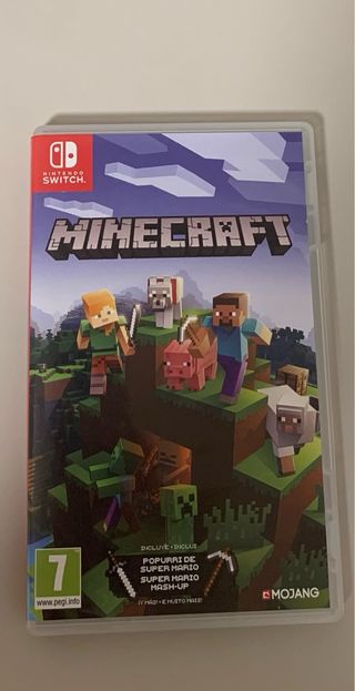 Minecraft Nintendo Switch