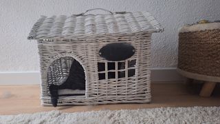 Cuidadora de gatos