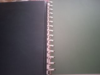 Álbum Edifil 15 anillas