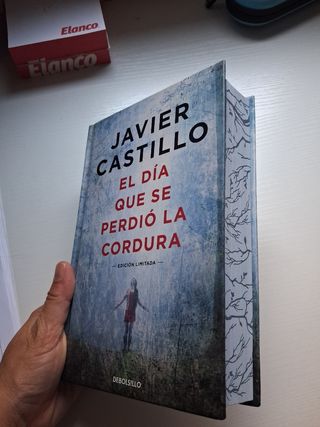El día que se perdió la cordura (Edición limita...