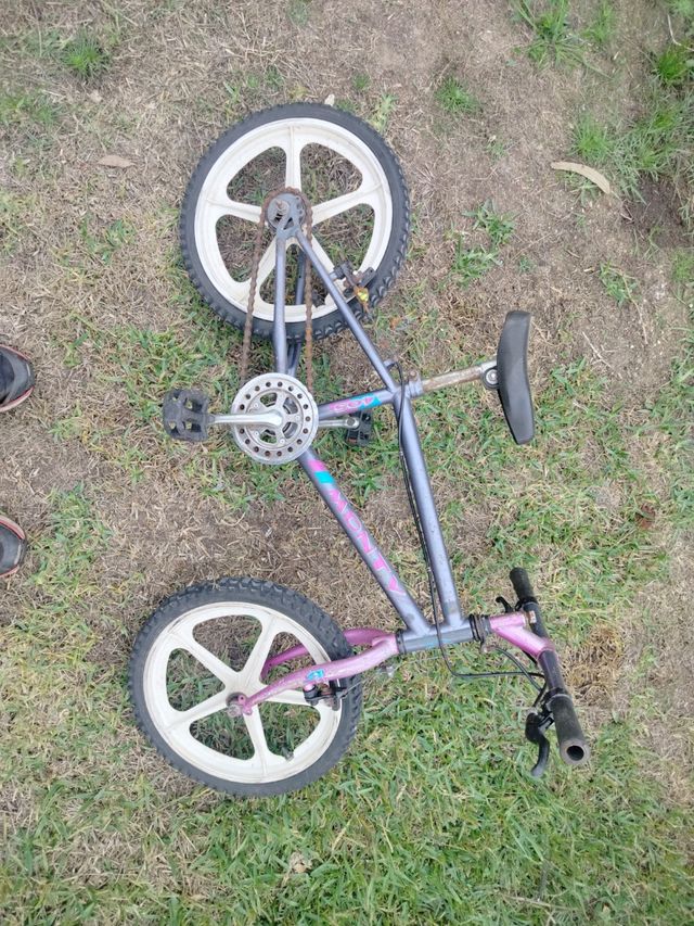 Bicicleta monti vintage