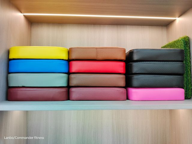 Prensa de gym para discos